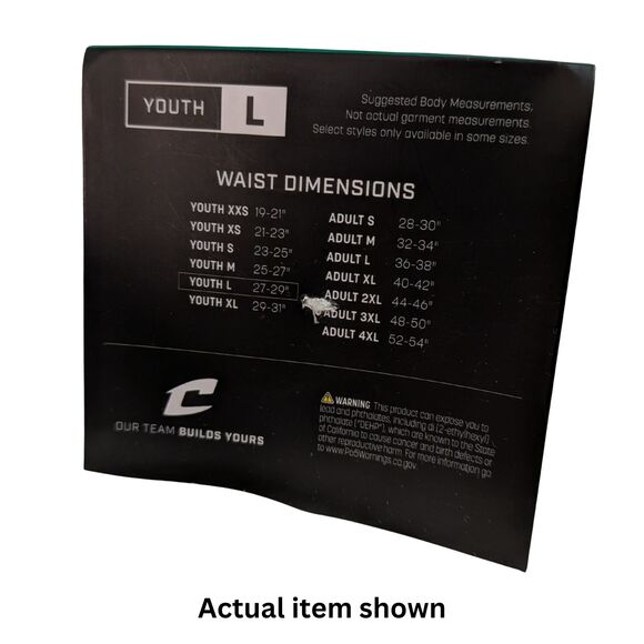 ⚾ NWT CHAMPRO Triple Crown Knicker Premium Baseball Pants Youth L 27-29 - Picture 10 of 10